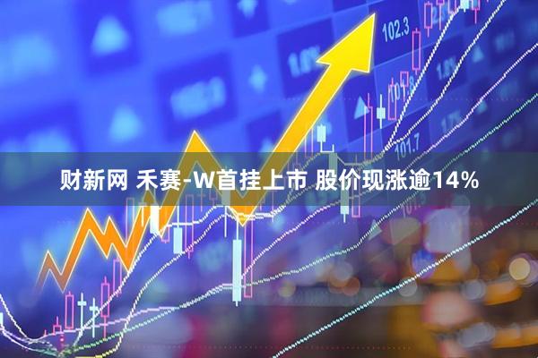 财新网 禾赛-W首挂上市 股价现涨逾14%