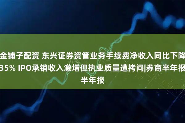 金铺子配资 东兴证券资管业务手续费净收入同比下降35% IPO承销收入激增但执业质量遭拷问|券商半年报