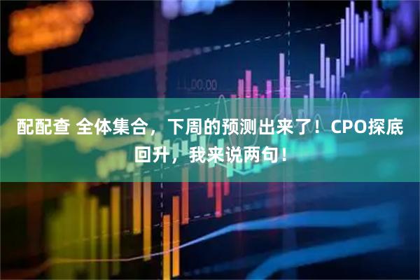 配配查 全体集合,下周的预测出来了!CPO探底回升,我来说两句!