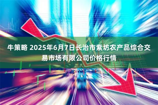 牛策略 2025年6月7日长治市紫坊农产品综合交易市场有限公司价格行情