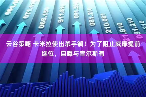 云谷策略 卡米拉使出杀手锏！为了阻止威廉提前继位，自曝与查尔斯有